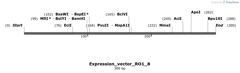 304942_map