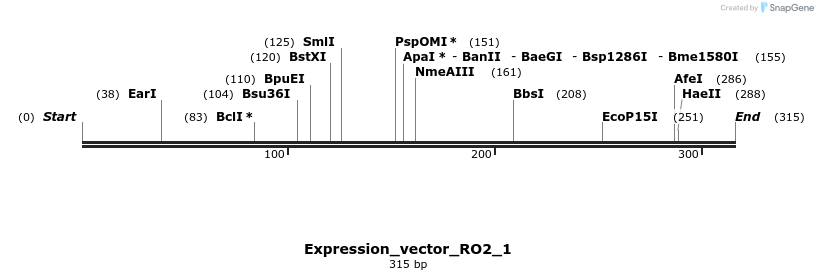 304946_map