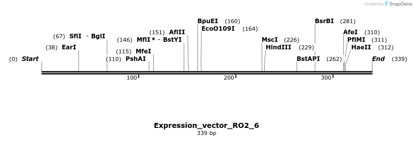 304950_map