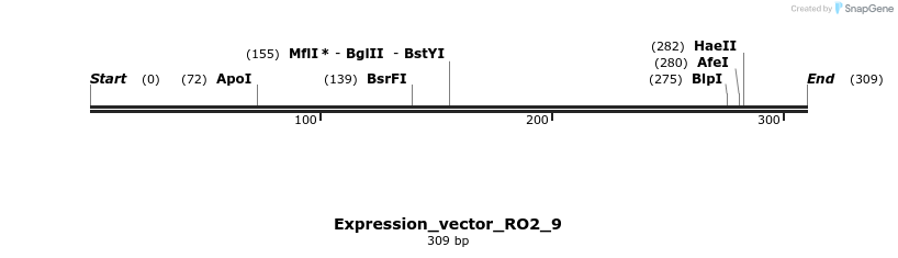 304952_map