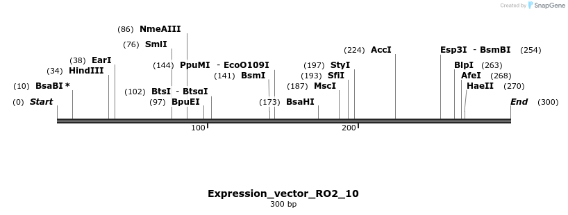 304954_map