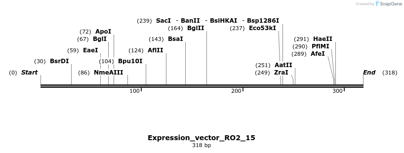 304956_map