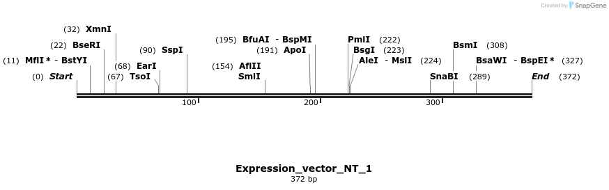 304962_map