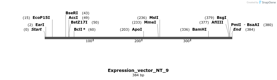 304966_map
