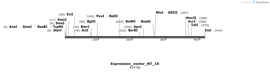 304968_map