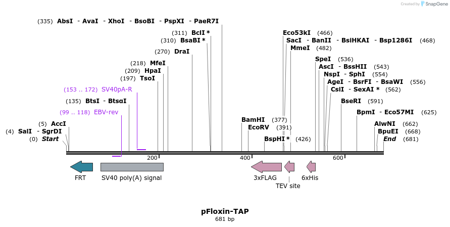 30500_map
