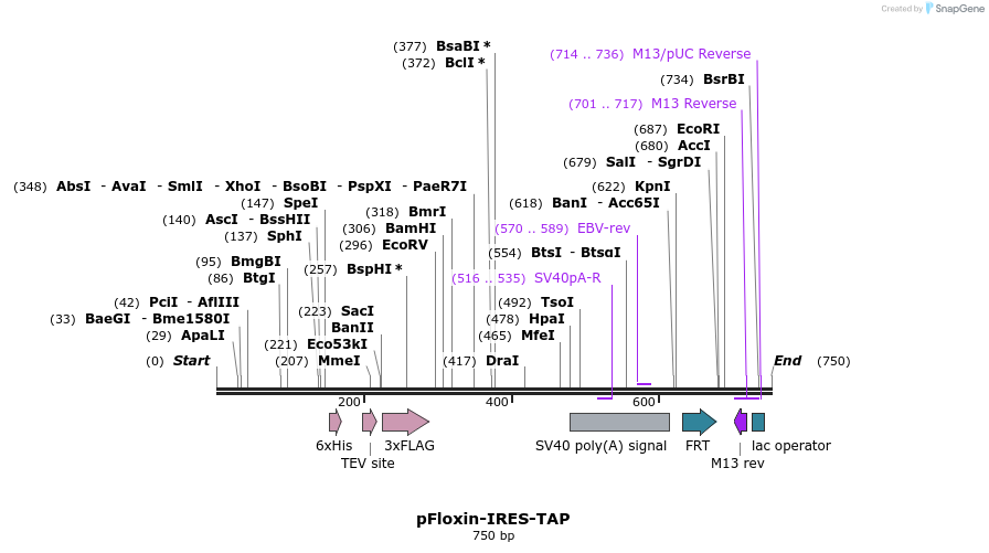 30501_map