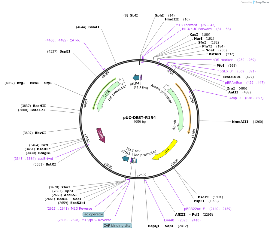 305021_map