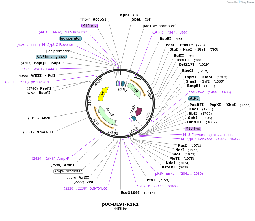 305023_map