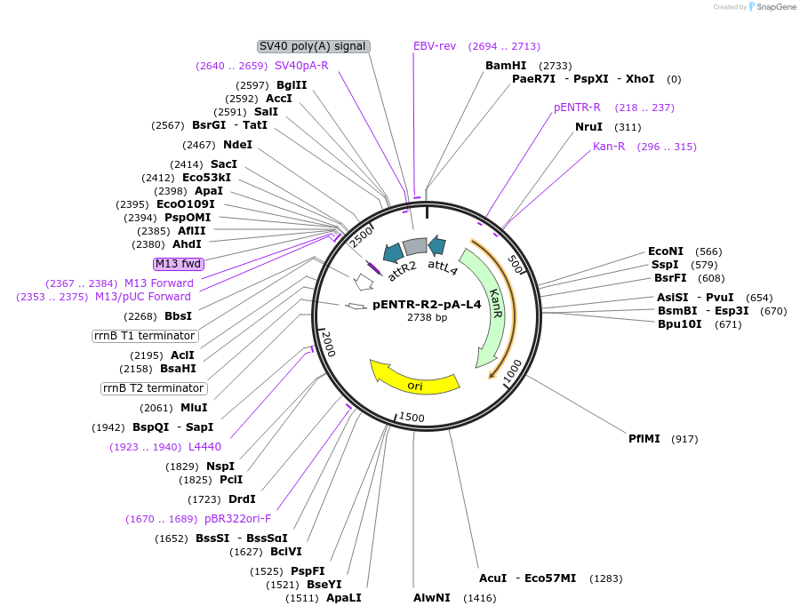 305025_map