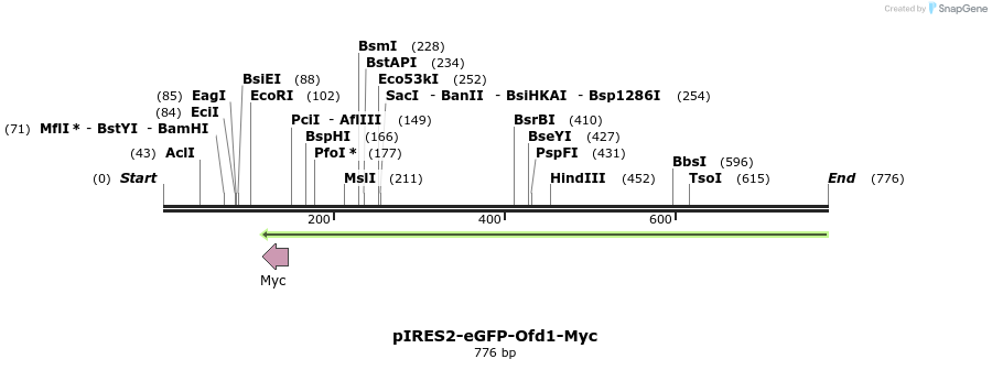 30505_map