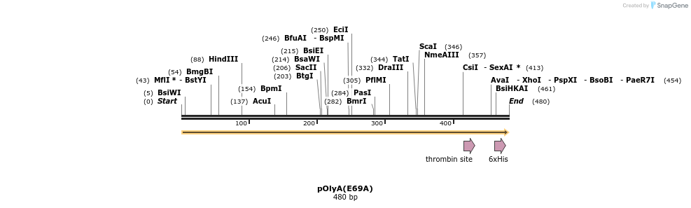 305074_map