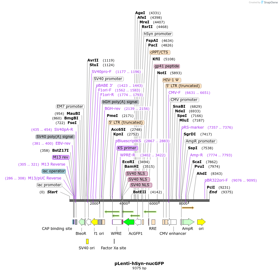 305087_map