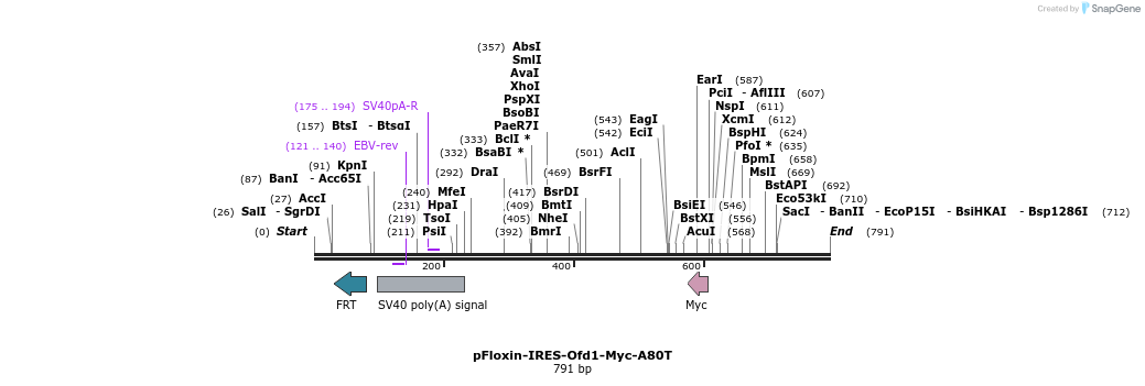 30509_map
