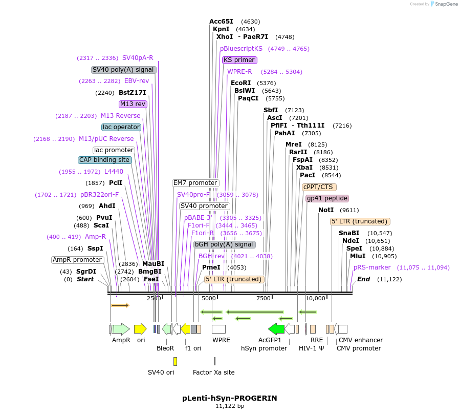 305090_map
