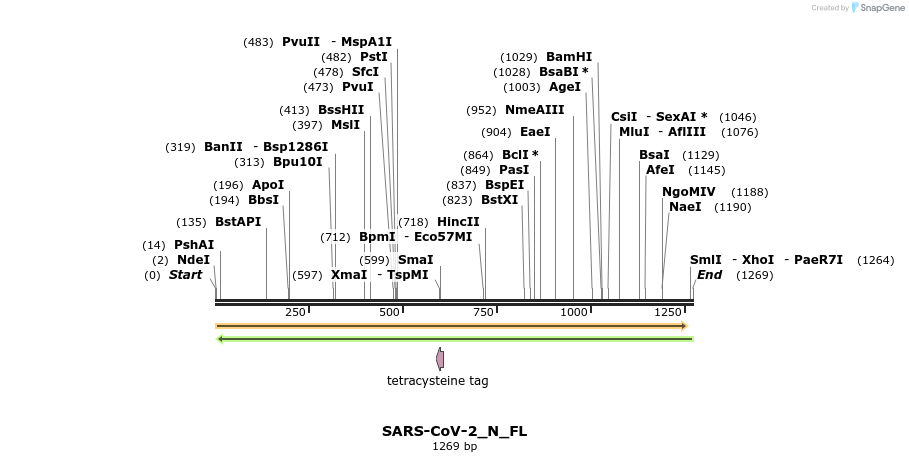 305096_map