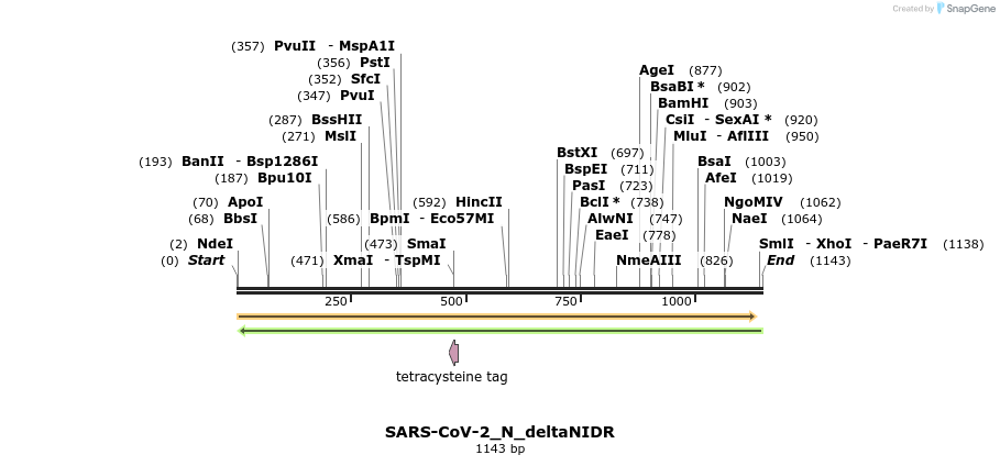 305097_map