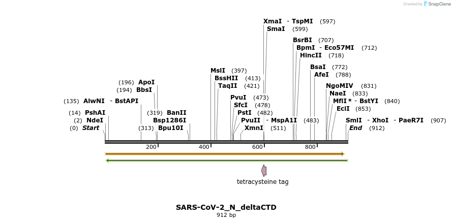 305100_map