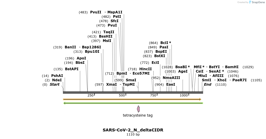 305101_map