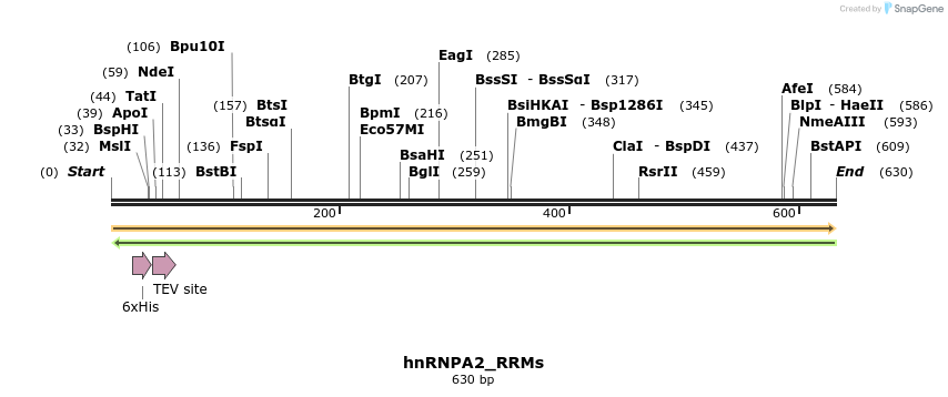 305103_map