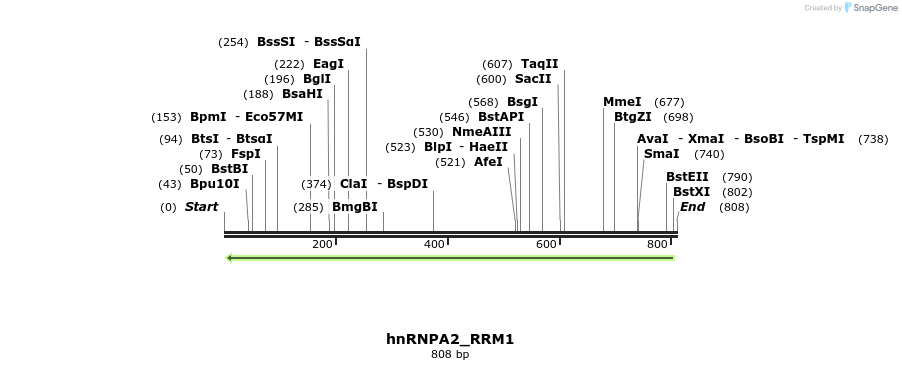 305106_map