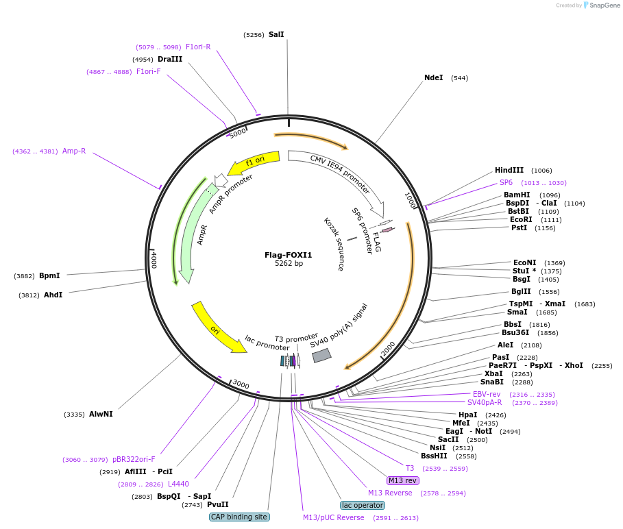 305130_map