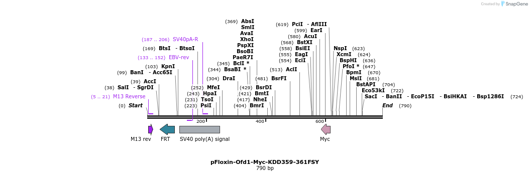 30515_map