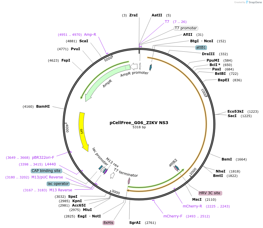 305157_map
