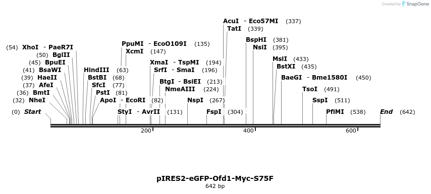 30518_map