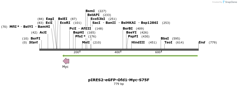30519_map