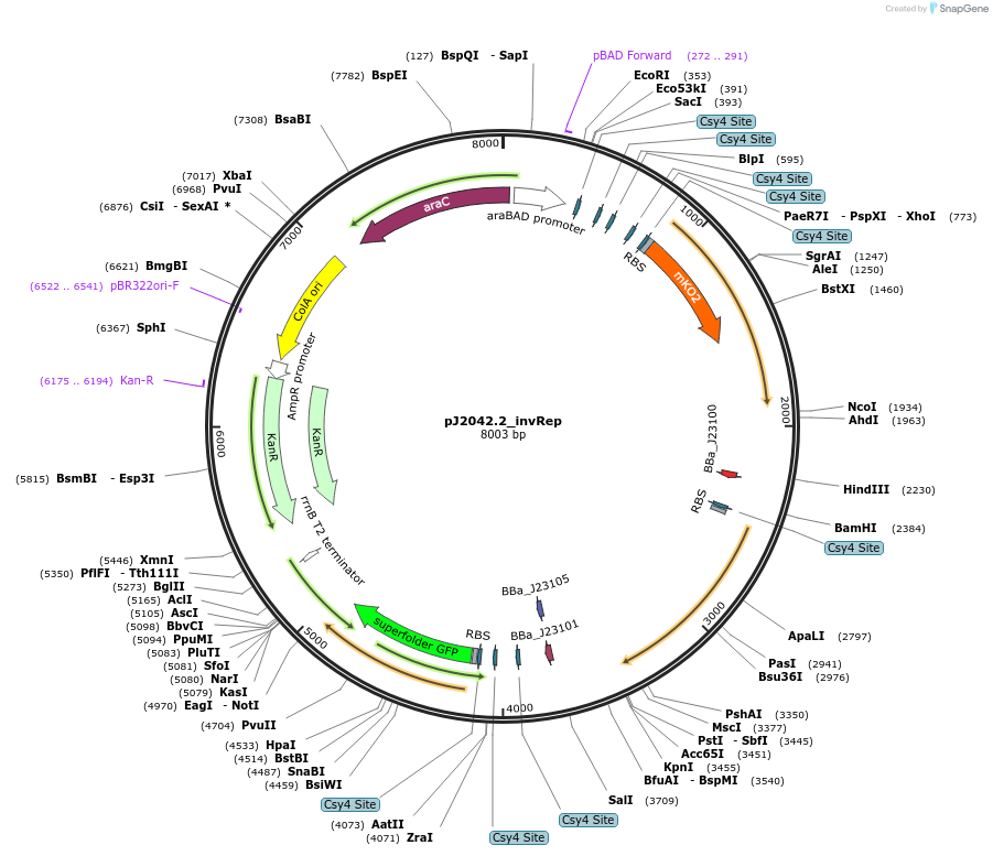 305190_map