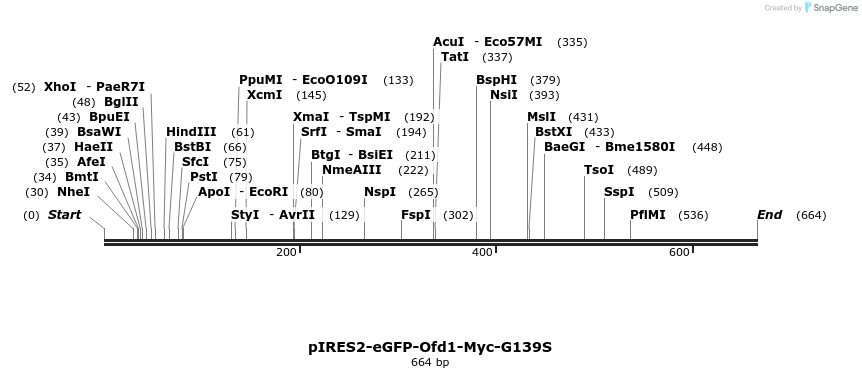 30520_map
