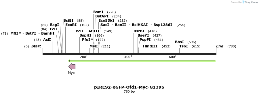30521_map