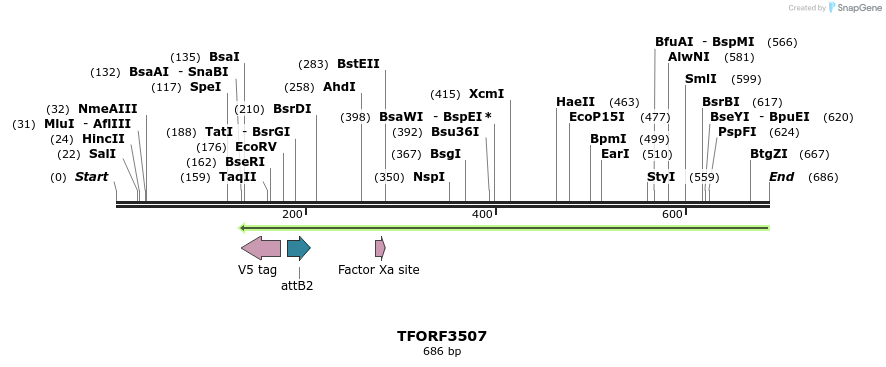 305218_map