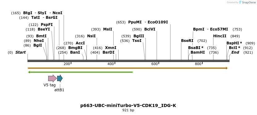 305271_map