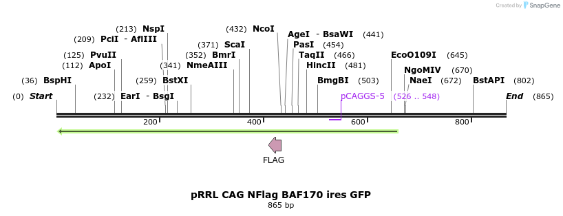 30528_map