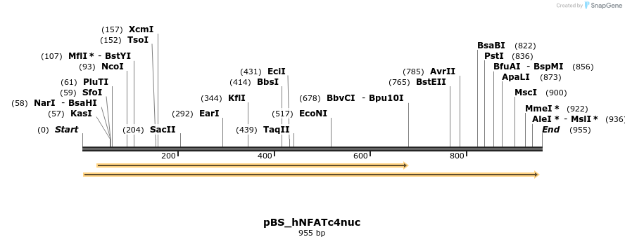 30531_map