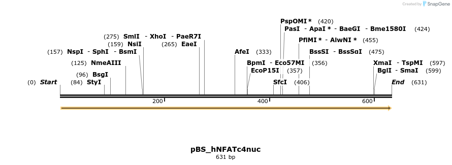 30532_map