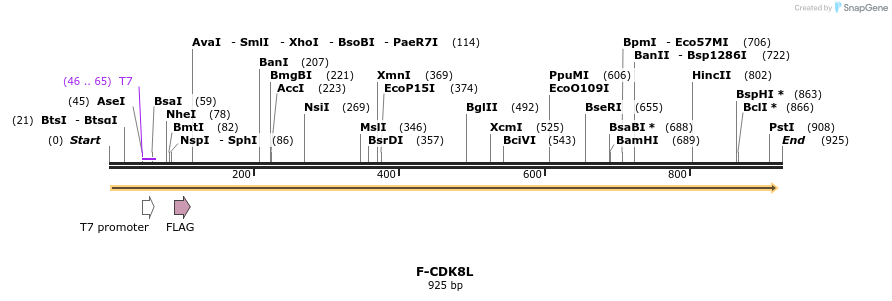 30533_map