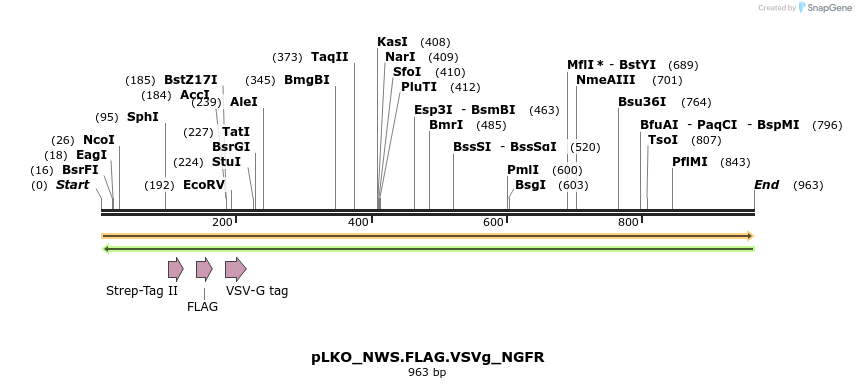 305335_map
