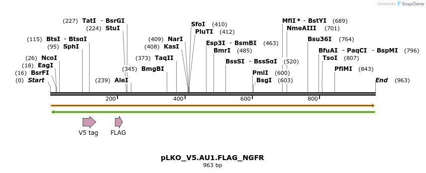 305349_map