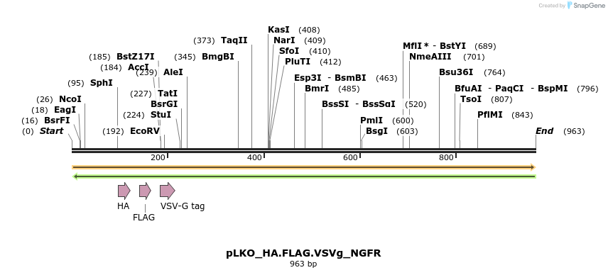 305359_map
