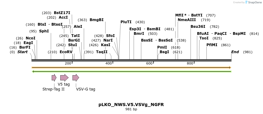 305361_map