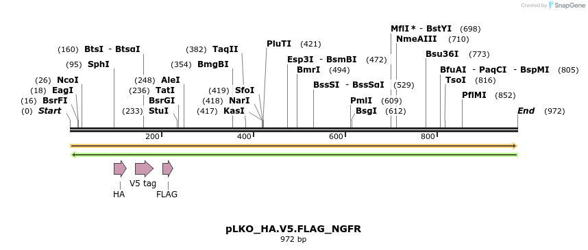305369_map