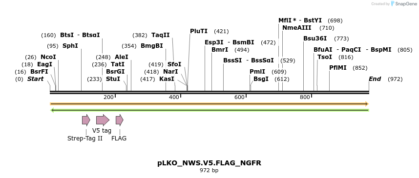 305371_map