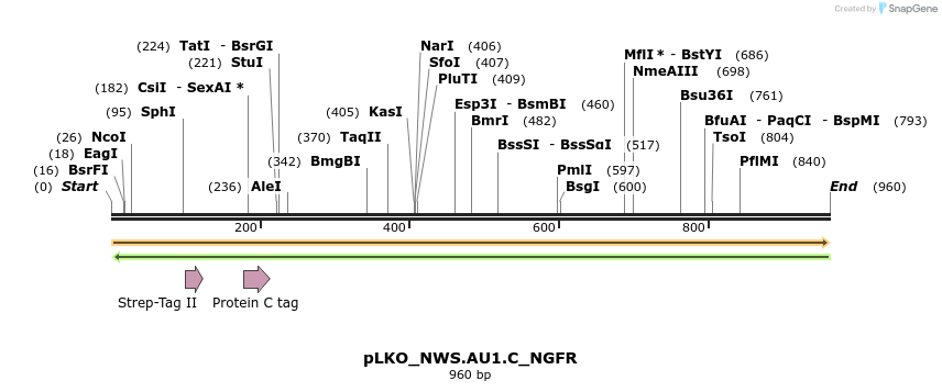 305377_map