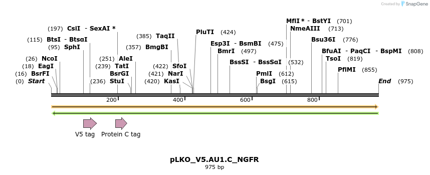 305379_map