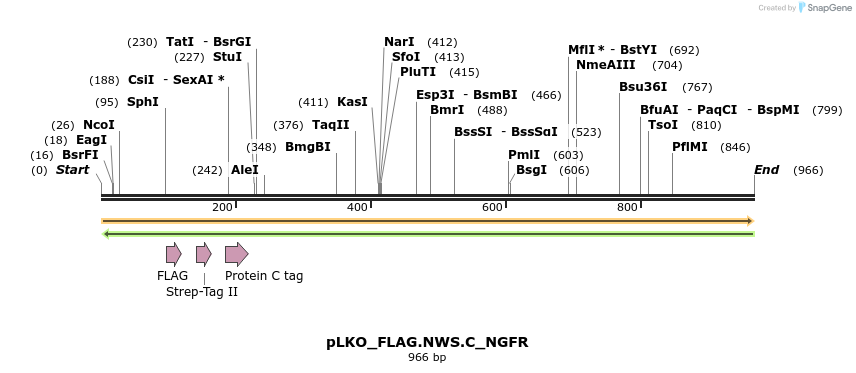 305385_map