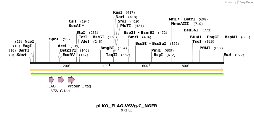 305389_map