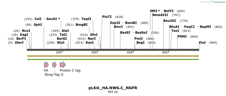305391_map